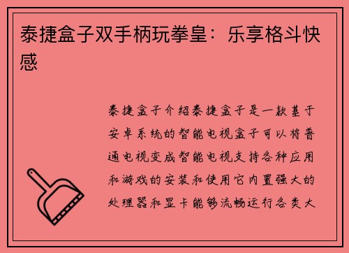 泰捷盒子双手柄玩拳皇：乐享格斗快感